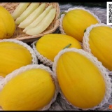 甜度超高~沒吃過的一定要試~金蜜哈蜜瓜 特價：$499