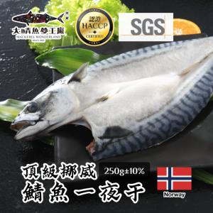 免運!【大鯖魚夢工廠】30入 頂級挪威鯖魚一夜干 250g