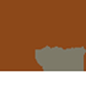 金旺財神-綜合年糖