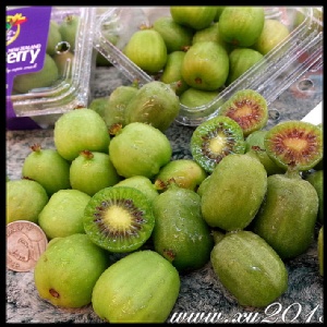 最迷你的奇異果5元硬幣大小~寶貝奇異果(kiwiberry) 特價：$1400