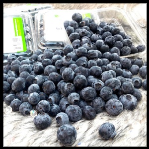 獨特香氣美國甜藍莓~推廣價12小盒含運費1300元~吃了絕對愛上它^^