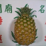 正宗關廟蜜寶鳳梨台農19號 五月中旬盛產期~歡迎預購 特價：$520