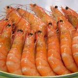 黃金蹦蹦蝦 試吃 海蝦色紅殼薄彈Q˙已煮熟