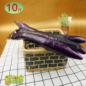 【鮮採家】台灣鮮嫩長條紫茄子10台斤