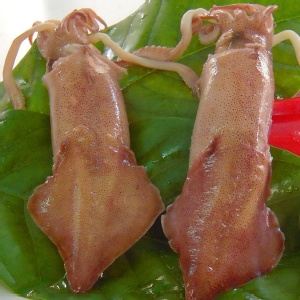 冰冰捲 已煮熟保持鮮甜建議切細絲附醬 特價：$70