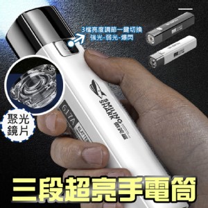 【輝鴻】USB充電迷你三段超亮手電筒 [PZF3008]