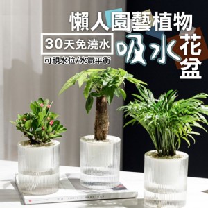 【輝鴻】懶人園藝植物吸水花盆(大款)[PZF4873]