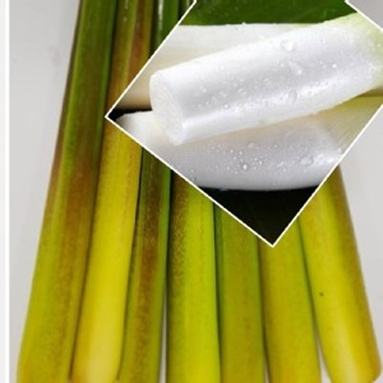 埔里無毒筊白筍