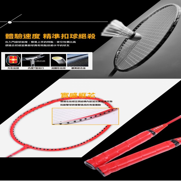 【輝鴻】免撿球單雙人羽球練習器[PZF2027]