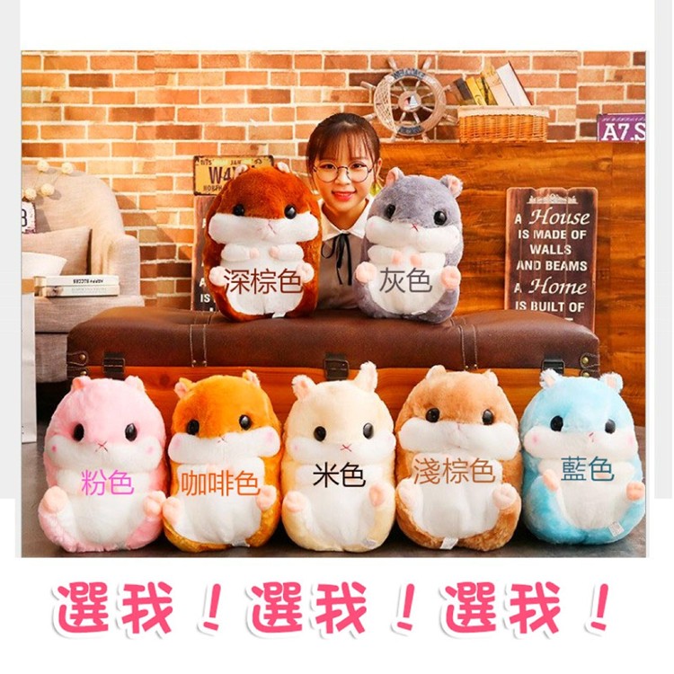 【輝鴻】超Q二合一療癒倉鼠抱枕毯[PZF2255]