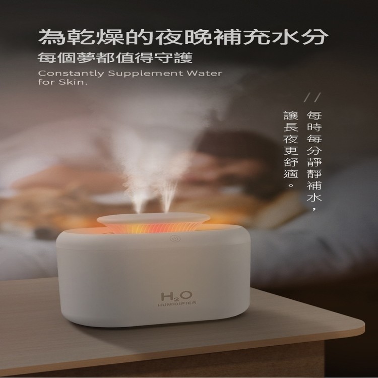 【輝鴻】免掀蓋雙頭噴霧微分子水氧機[PZF2263]