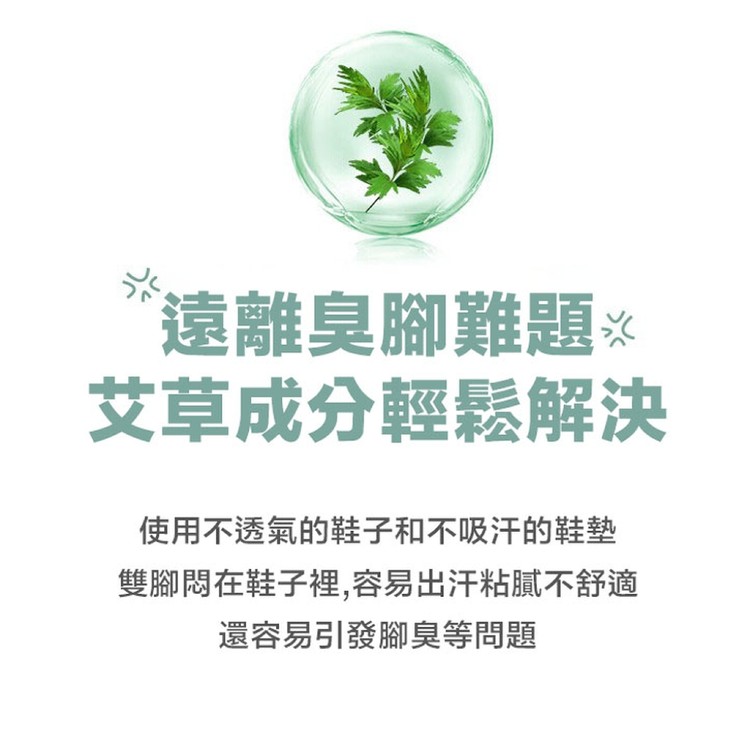 【輝鴻】艾草養生除臭按摩鞋墊[PZF2591]