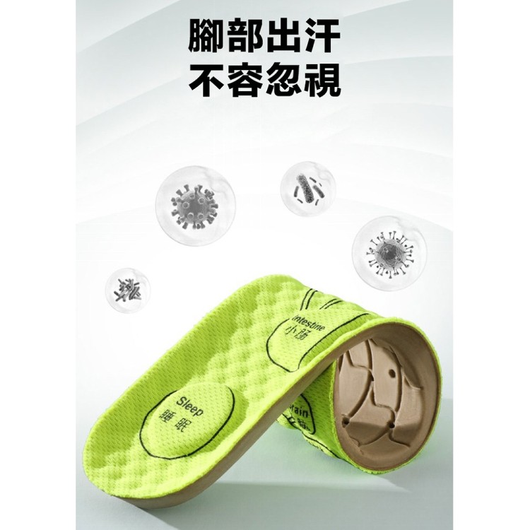 【輝鴻】艾草養生除臭按摩鞋墊[PZF2591]