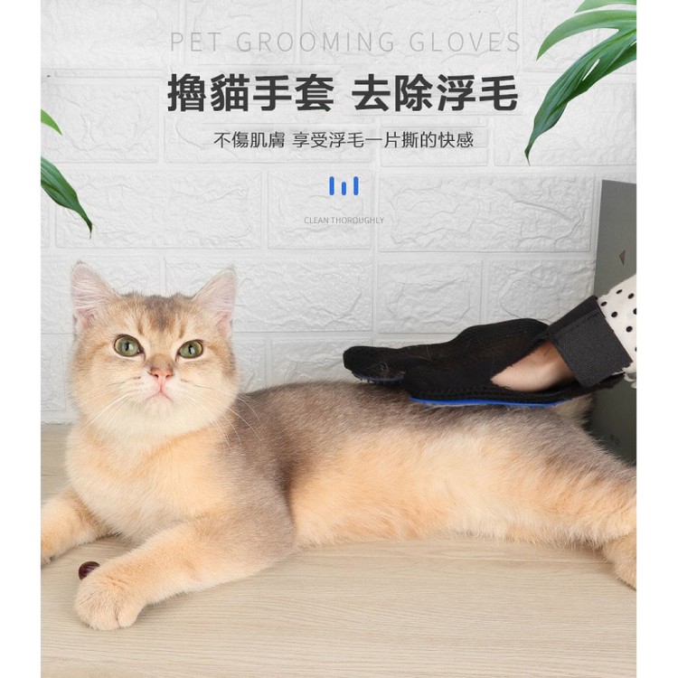 【輝鴻】寵物潔毛安撫二用式手套[PZF2663]