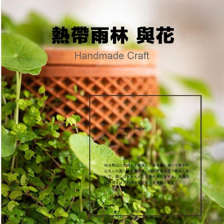 【輝鴻】紅陶自動吸滲澆水植物花盆[PZF2804]