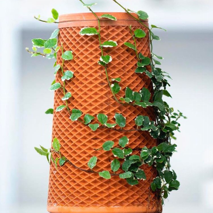 【輝鴻】紅陶自動吸滲澆水植物花盆[PZF2804]