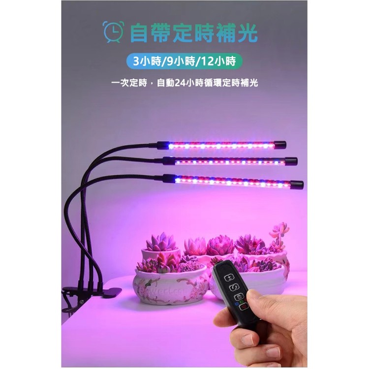 【輝鴻】LED可定時植物生長燈(單管)[PZF3424]