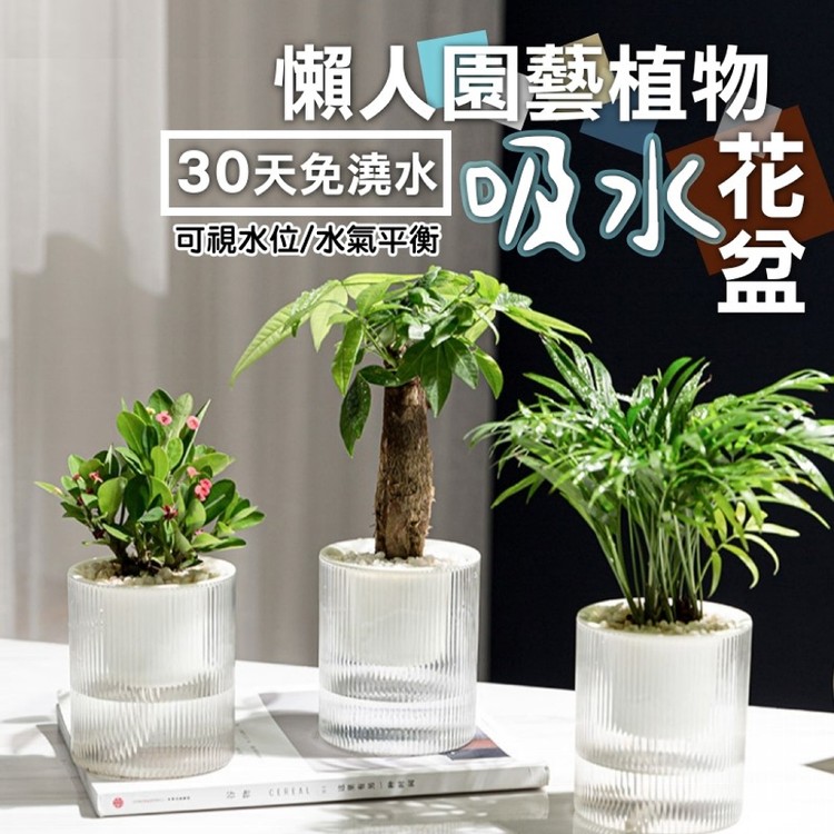 【輝鴻】懶人園藝植物吸水花盆(小款)[PZF4873]