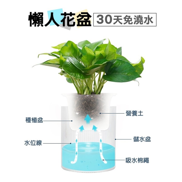 【輝鴻】懶人園藝植物吸水花盆(小款)[PZF4873]