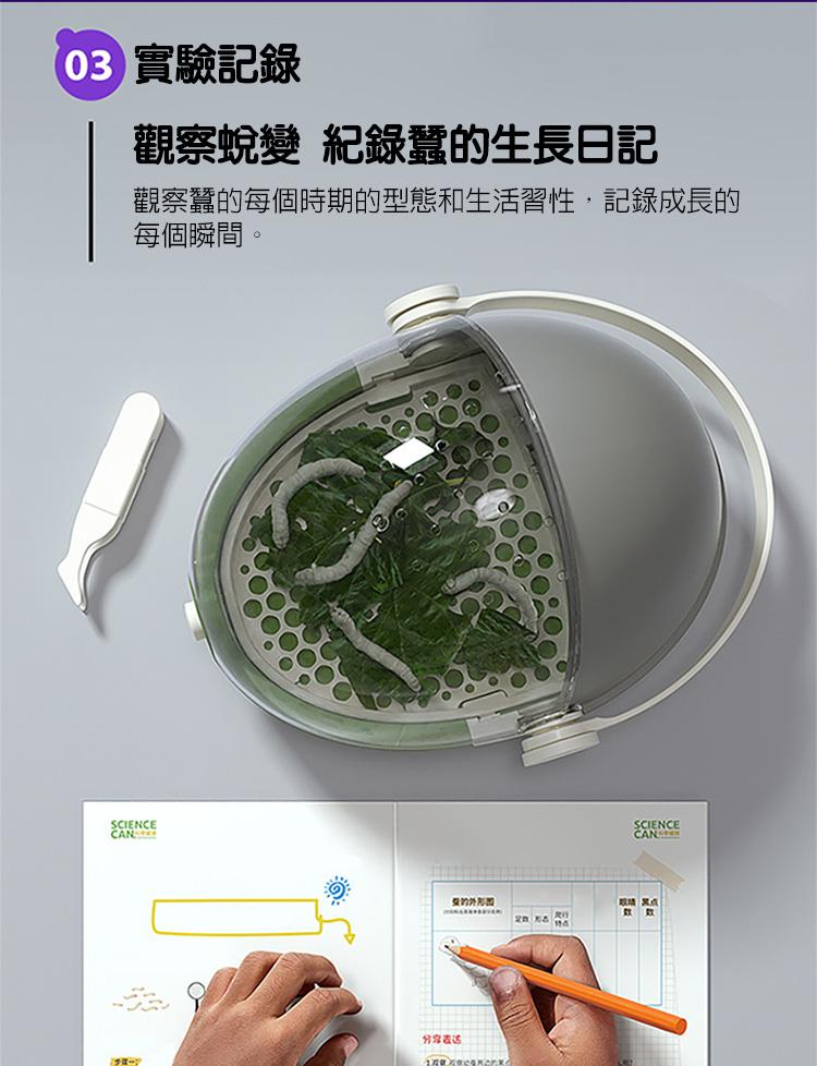 03 實驗記錄，觀察蛻變 紀錄蠶的生長日記，觀察蠶的每個時期的型態和生活習性,記錄成長的，每個瞬間。盤的外包园，分享表达，超誌 大社。
