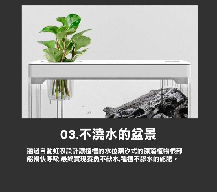 03.不澆水的盆景，通過自動虹吸設計讓植槽的水位潮汐式的漲落植物根部，能暢快呼吸,最終實現養魚不缺水,種植不膠水的施肥。