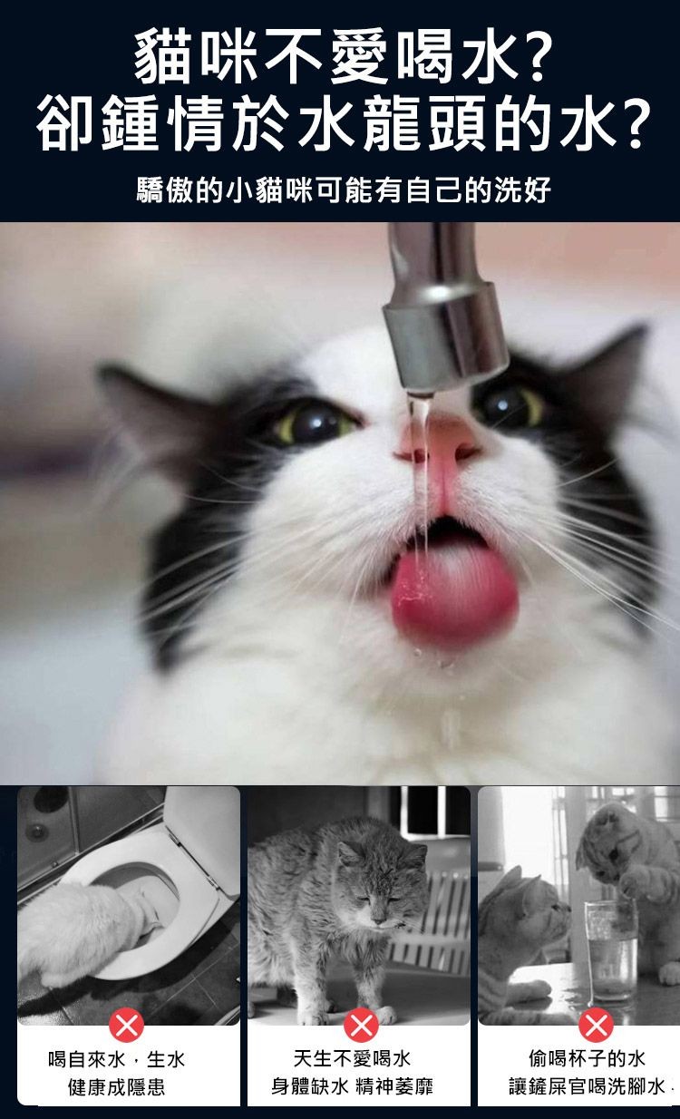貓咪不愛喝水?卻鍾情於水龍頭的水?驕傲的小貓咪可能有自己的洗好，喝自來水,生水，健康成隱患，天生不愛喝水，身體缺水 精神萎靡，偷喝杯子的水，讓鏟屎官喝洗脚水.。