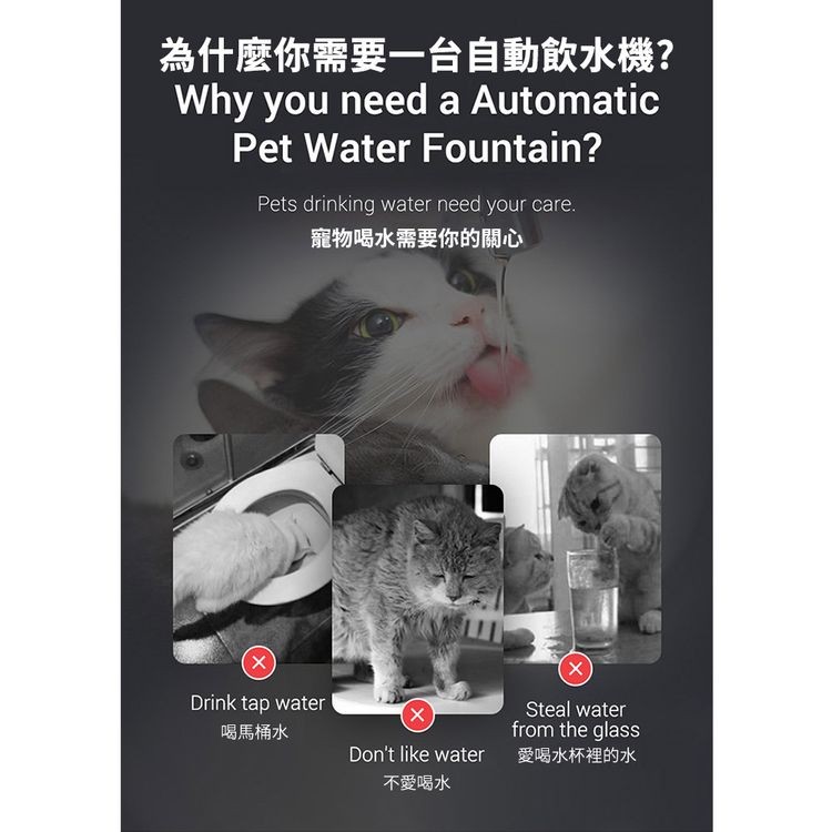 為什麼你需要一台自動飲水機?寵物喝水需要你的關心，喝馬桶水，不愛喝水，愛喝水杯裡的水。