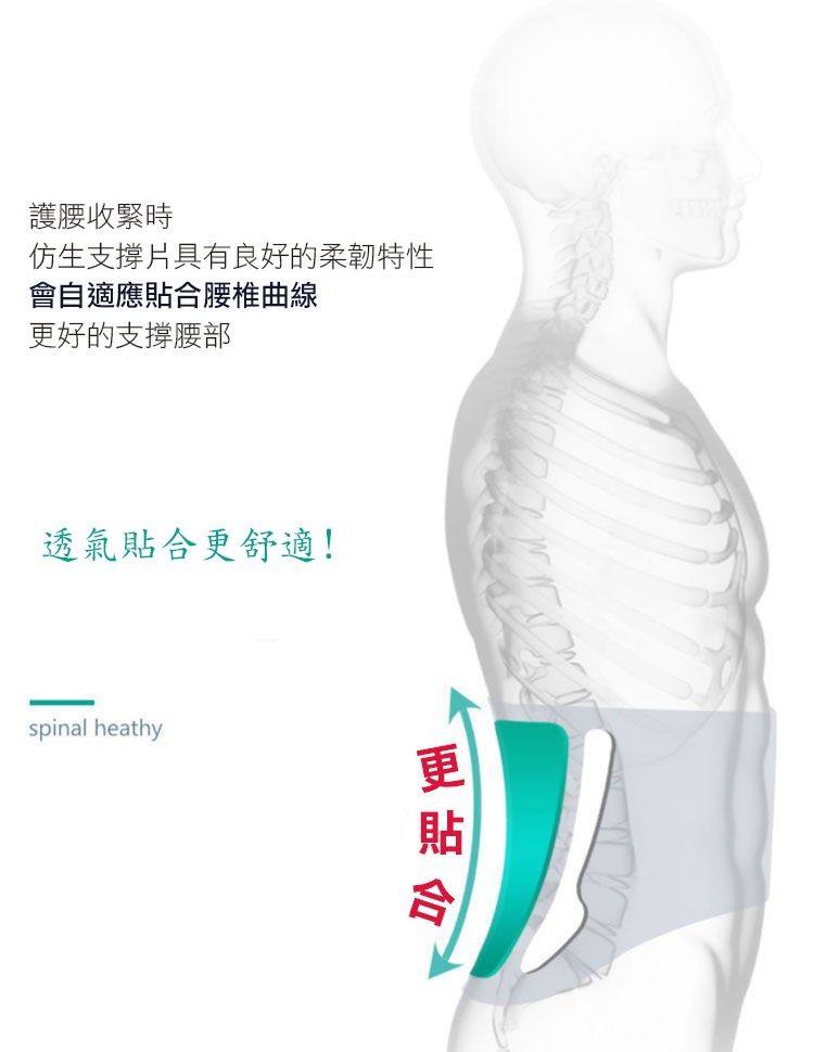 護腰收緊時，仿生支撐片具有良好的柔韌特性，會自適應貼合腰椎曲線，更好的支撐腰部，透氣貼合更舒適!更貼合。