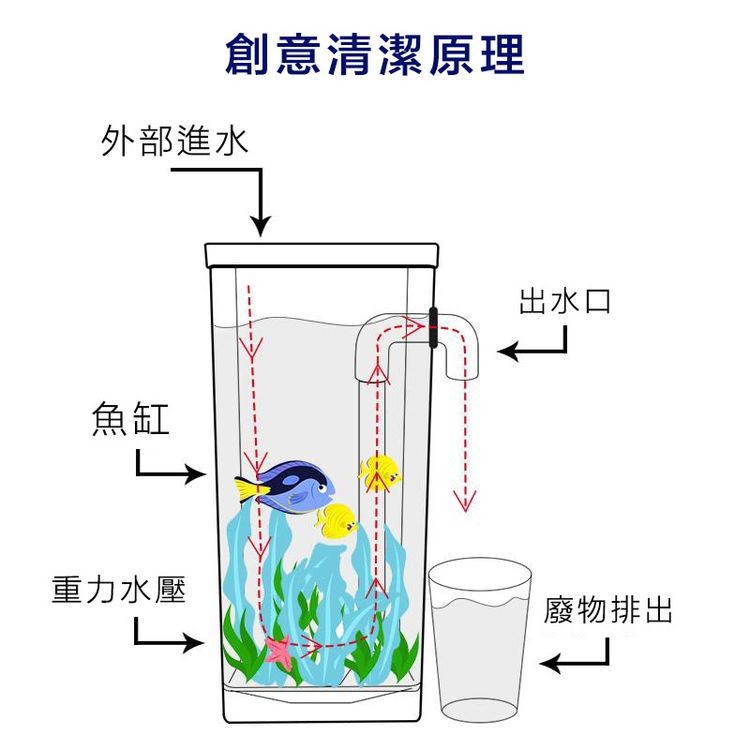 外部進水，創意清潔原理，重力水壓，出水口，廢物排出。