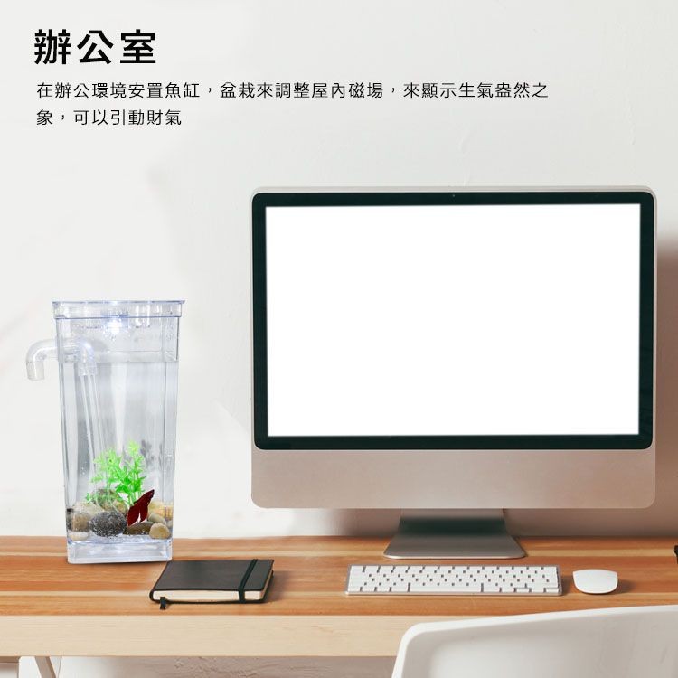 辦公室，在辦公環境安置魚缸,盆栽來調整屋內磁場,來顯示生氣盎然之，象,可以引動財氣。