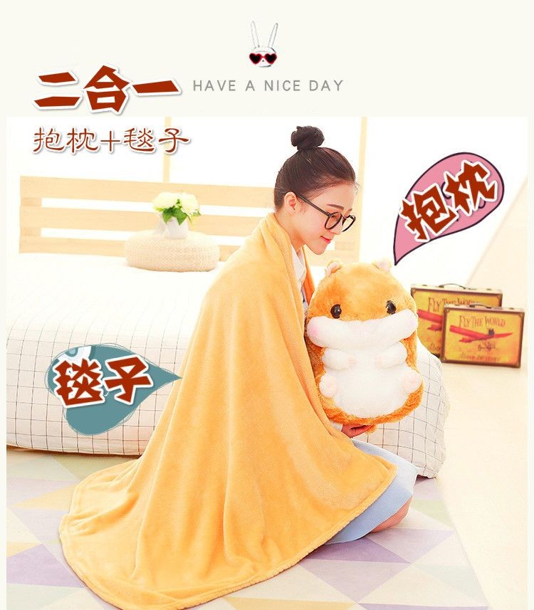 二合一，抱枕+毯子。