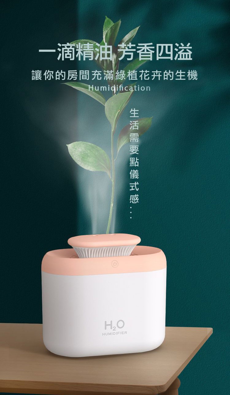 一滴精油 芳香四溢，讓你的房間充滿綠植花卉的生機，H₂O，生活需要點儀式感。