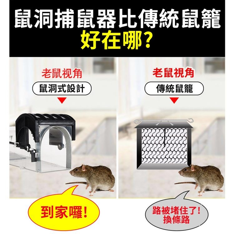 鼠洞捕鼠器比傳統鼠籠,好在哪?老鼠视角,鼠洞式設計,到家囉!老鼠視角,傳統鼠籠,路被堵住了!換條路。