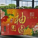 (頂級)柚團圓文旦5斤裝