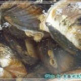 正港東石現撈的蛤仔 正港東石現撈的蛤仔(目前停售) 特價：$60