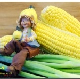 王爺水餃子 --- 活力玉米 --- 營養可口的新鮮甜玉米豬肉水餃, 一袋20顆。 特價：$100