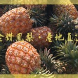 高樹鄉 金鑽鳳梨