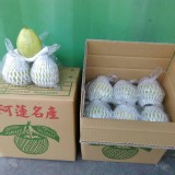 阿蓮區芭樂5斤一袋（依實際秤重收款）