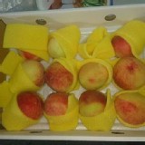 梨山香甜蜜桃小顆禮盒