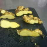 玉山高山薑母 一斤