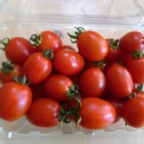 小女小蕃茄一斤（盒）