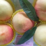 有機-梨山水蜜桃 5大粒盒裝 單顆重8兩以上