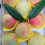 有機-梨山水蜜桃 8粒盒裝 單顆重6-7兩