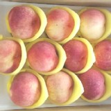 有機-梨山水蜜桃 10粒盒裝 單顆重5-6兩