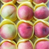 有機-梨山水蜜桃 12粒盒裝 單顆重4-6兩