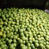 吉園圃-30年以老欉柚子5斤主購分裝塑膠袋 (另有家族價)