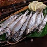 柳葉魚(1000G/包)約有45-50尾