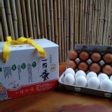 白殼/環保蛋盒 10 粒裝(1斤)
