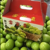 爆漿雪梨蜜棗 5斤禮盒裝 (精選級，3-5顆ㄧ斤) 通過SGS 373項藥檢合格