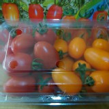 阿蓮區- 夏珠 (紅色)+麗金(黃色)小蕃茄 / 1斤 / 盒